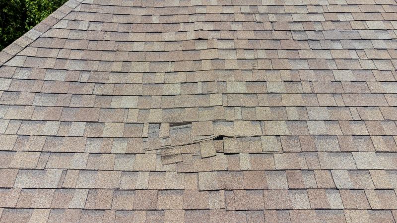 Asphalt Roof Inspection in Devon, PA