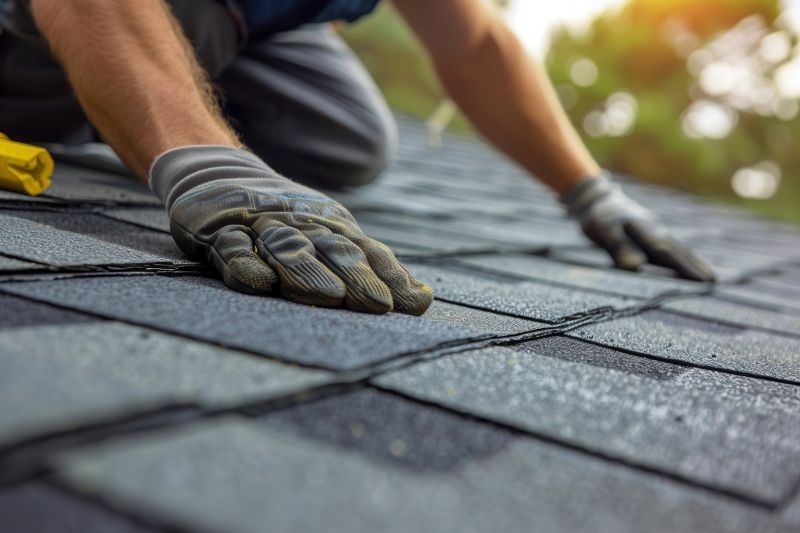 Asphalt Roof Leak Repair in Audubon, NJ