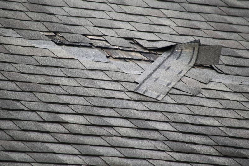 Asphalt Roof Leak Repair in Willingboro, NJ