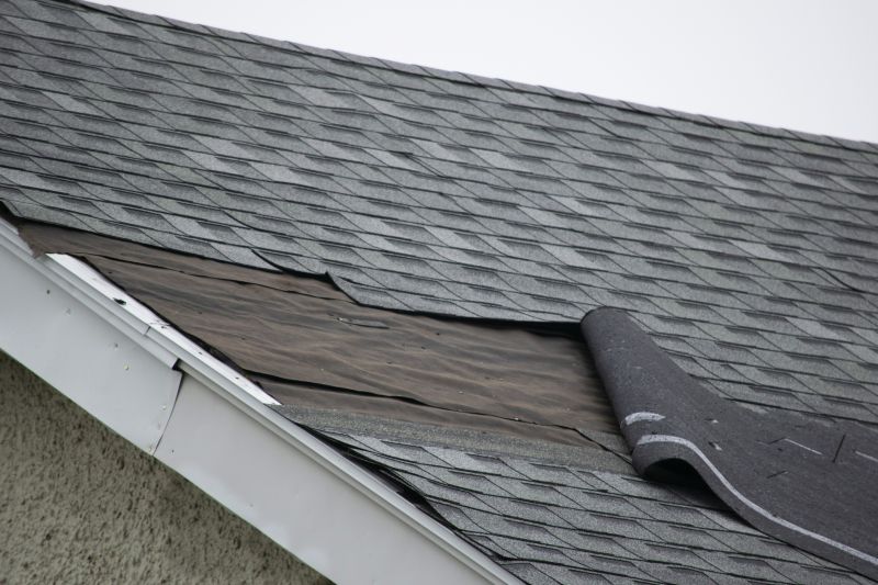 Asphalt Shingles Repair in Clifton Heights, PA