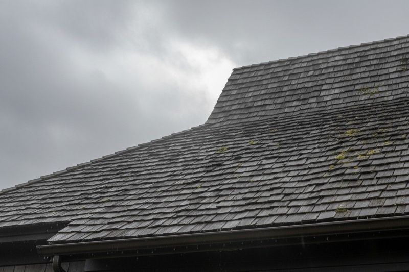 Cedar Roof Replacement in Collingswood, NJ