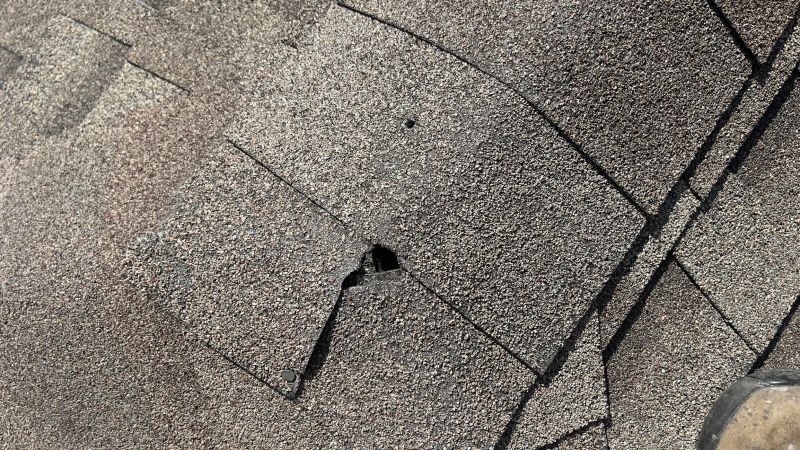 Damaged Roof Repair in Bensalem, PA