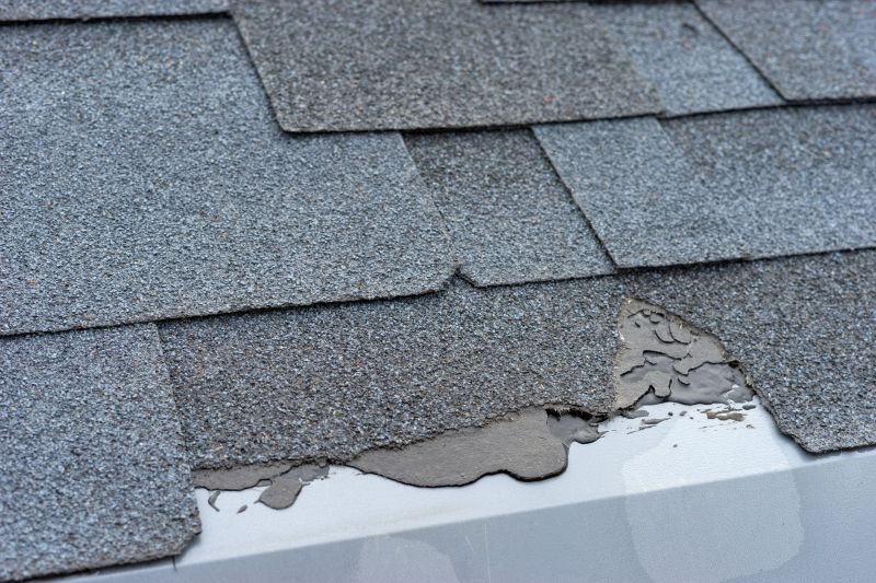 Damaged Roof Repair in Lansdale, PA