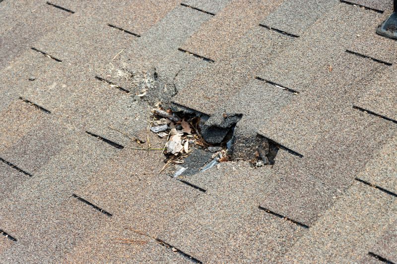 Damaged Roof Replacement in Boyertown, PA