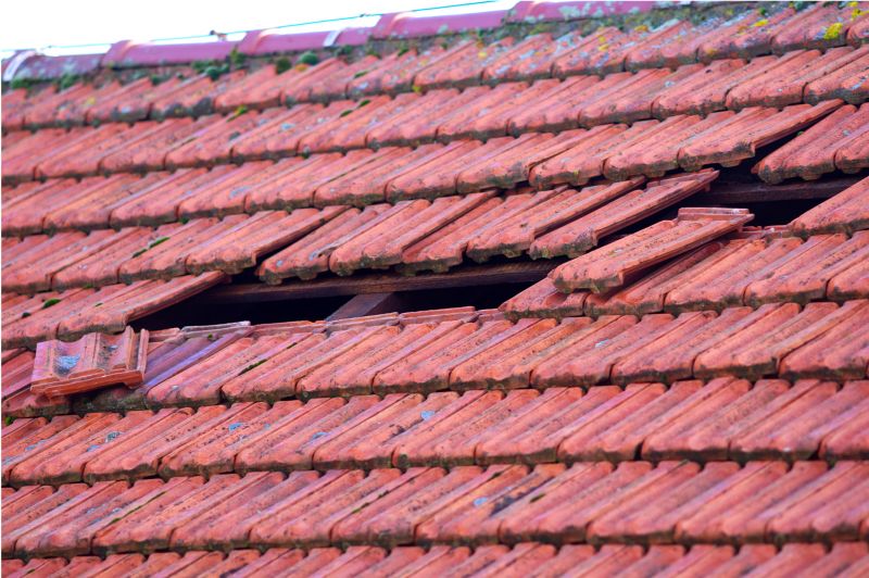 Roof Damage Inspection in Richboro, PA