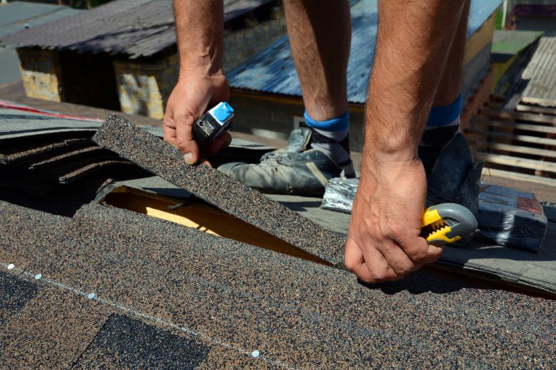 Shingles Repair in Camden, NJ