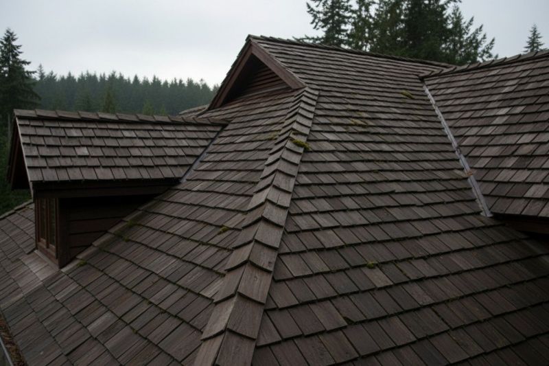 Wood Shake Roof Replacement in Drexel Hill, PA
